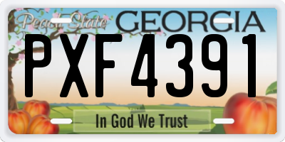 GA license plate PXF4391