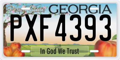 GA license plate PXF4393