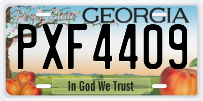 GA license plate PXF4409