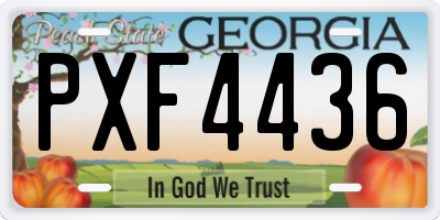 GA license plate PXF4436