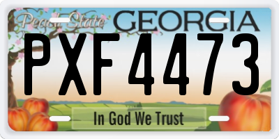 GA license plate PXF4473