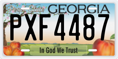 GA license plate PXF4487
