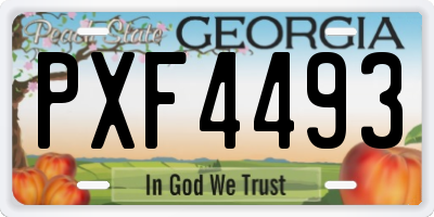 GA license plate PXF4493