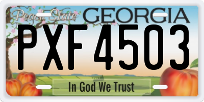 GA license plate PXF4503