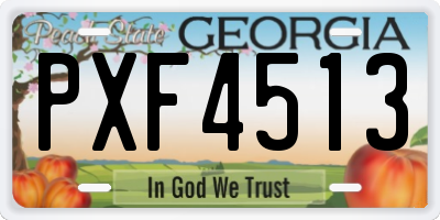 GA license plate PXF4513