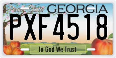 GA license plate PXF4518