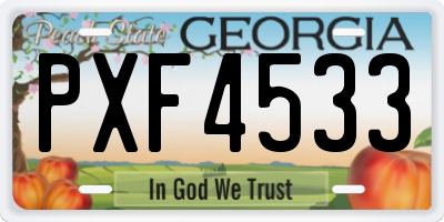 GA license plate PXF4533