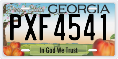 GA license plate PXF4541