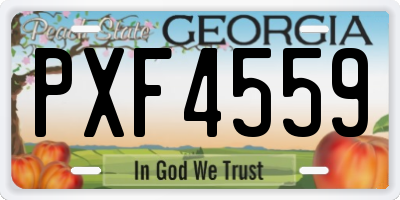 GA license plate PXF4559