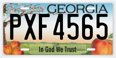 GA license plate PXF4565