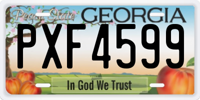 GA license plate PXF4599