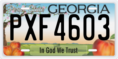 GA license plate PXF4603
