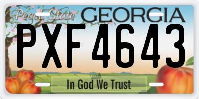 GA license plate PXF4643