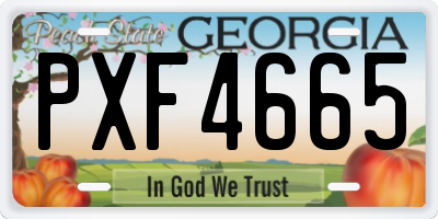 GA license plate PXF4665