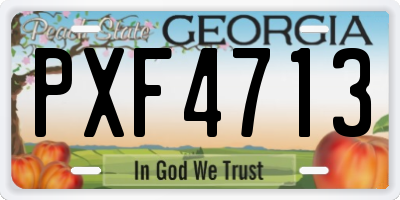 GA license plate PXF4713
