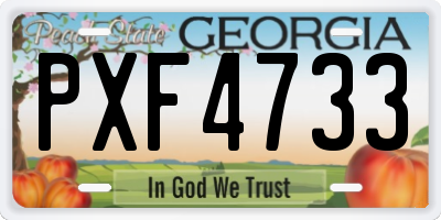 GA license plate PXF4733