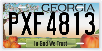 GA license plate PXF4813