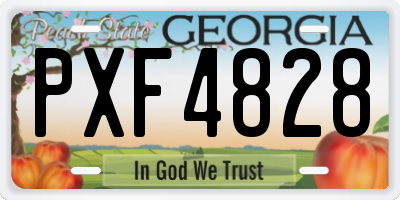GA license plate PXF4828