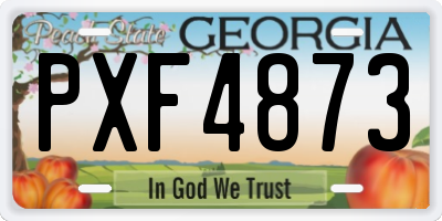 GA license plate PXF4873