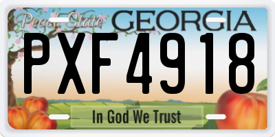 GA license plate PXF4918
