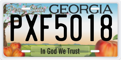 GA license plate PXF5018