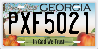 GA license plate PXF5021