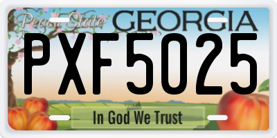 GA license plate PXF5025