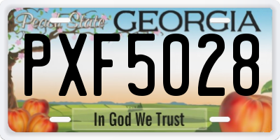 GA license plate PXF5028