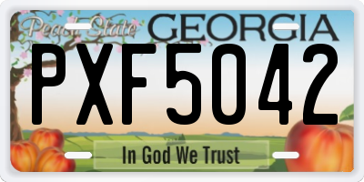 GA license plate PXF5042