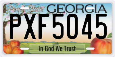 GA license plate PXF5045