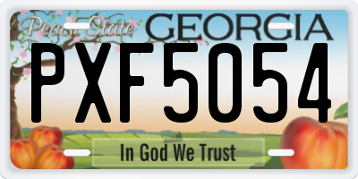 GA license plate PXF5054