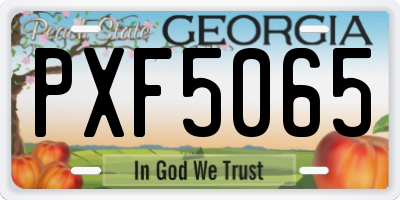 GA license plate PXF5065