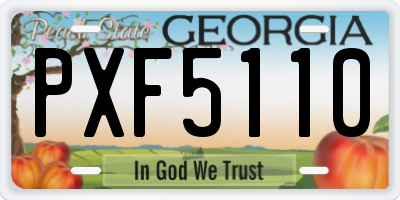 GA license plate PXF5110