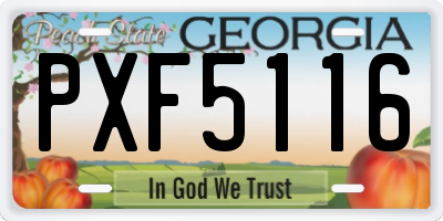 GA license plate PXF5116