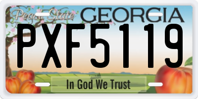 GA license plate PXF5119