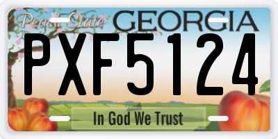 GA license plate PXF5124