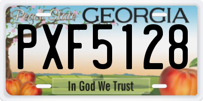 GA license plate PXF5128