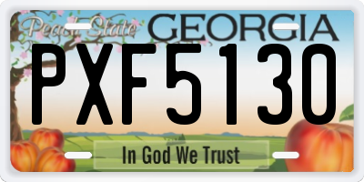 GA license plate PXF5130
