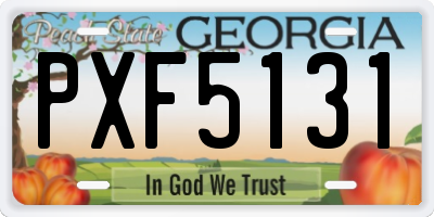 GA license plate PXF5131