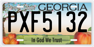 GA license plate PXF5132