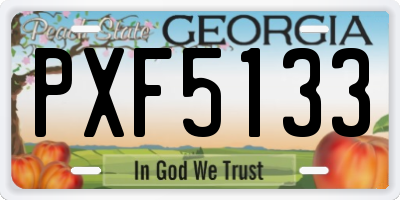 GA license plate PXF5133
