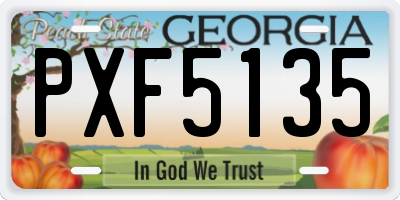 GA license plate PXF5135