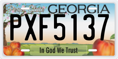 GA license plate PXF5137