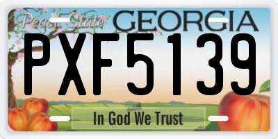 GA license plate PXF5139