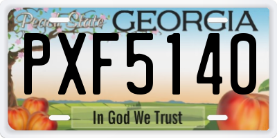 GA license plate PXF5140