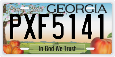 GA license plate PXF5141