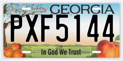 GA license plate PXF5144