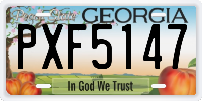 GA license plate PXF5147