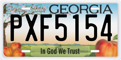 GA license plate PXF5154