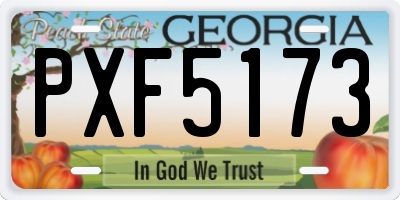 GA license plate PXF5173
